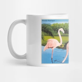 Florida Flamingos postcard Mug